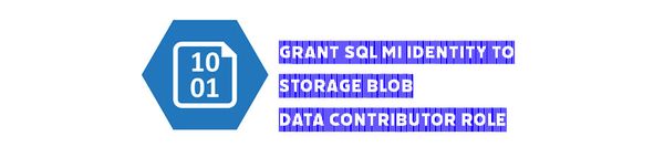 Grant SQL managed identity to Storage Blob Data Contributor role